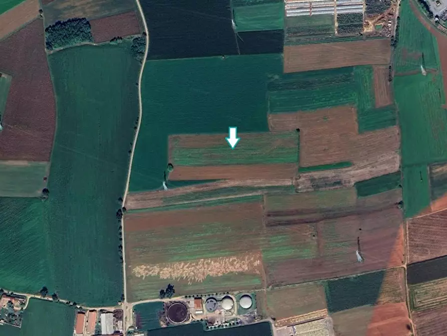 terreno agricolo in vendita a Piossasco