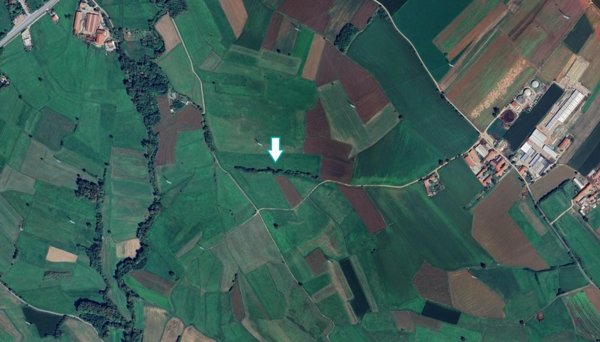 terreno agricolo in vendita a Piossasco
