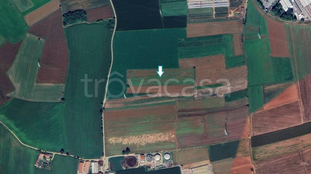terreno agricolo in vendita a Piossasco