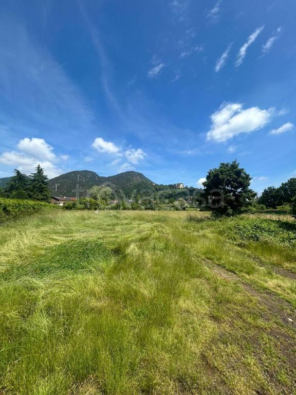 terreno agricolo in vendita a Piossasco