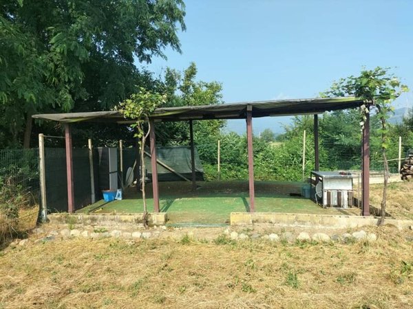 terreno agricolo in vendita a Piossasco