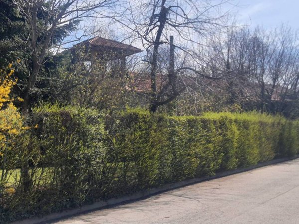 casa indipendente in vendita a Piossasco