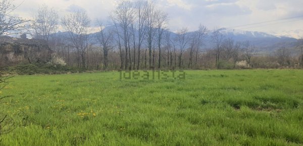 terreno agricolo in vendita a Piossasco