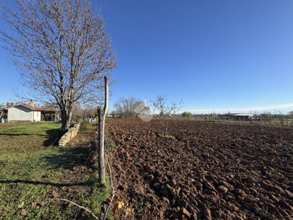 terreno agricolo in vendita a Piossasco