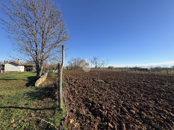 terreno agricolo in vendita a Piossasco