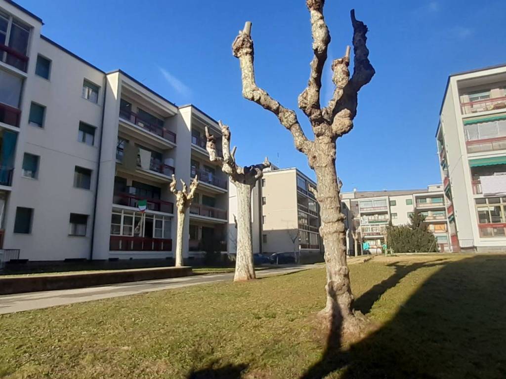 appartamento in vendita a Piossasco