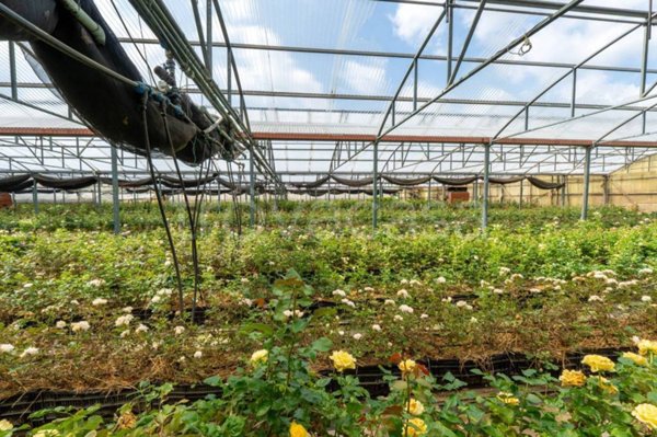 terreno agricolo in vendita a Piossasco in zona Garola