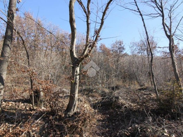 terreno agricolo in vendita a Piossasco in zona Maritani