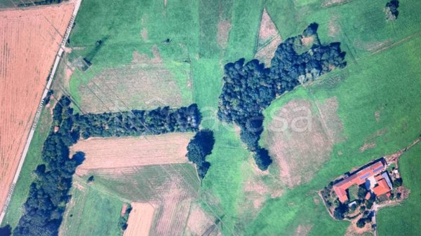 terreno agricolo in vendita a Piossasco