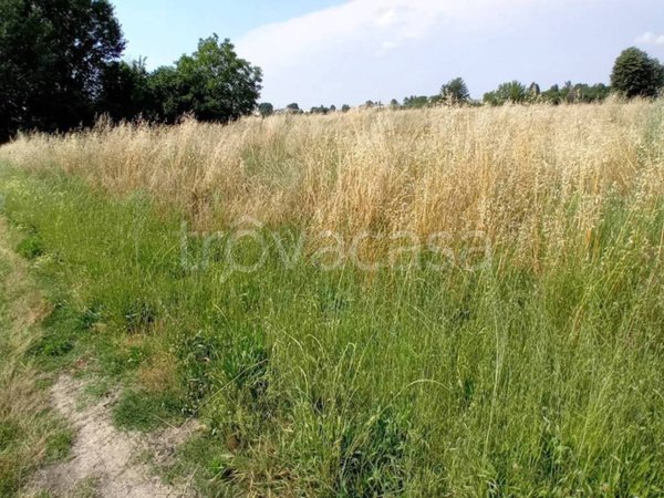 terreno agricolo in vendita a Piossasco in zona San Vito