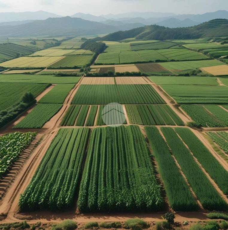 terreno agricolo in vendita a Vaiano Cremasco