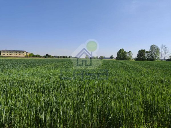 terreno agricolo in vendita a Vescovato