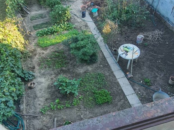 casa indipendente in vendita a Vescovato