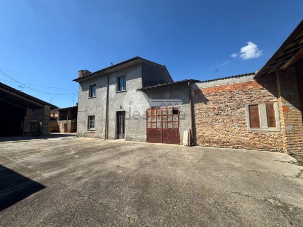 esavano in vendita a Volongo
