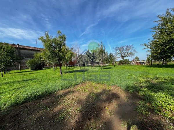 bifamiliare in vendita a Piadena Drizzona in zona Drizzona