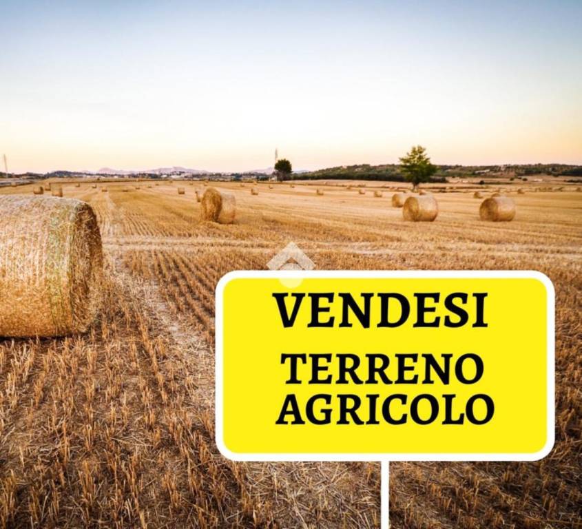 terreno agricolo in vendita a Poirino in zona Banna
