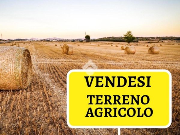 terreno agricolo in vendita a Poirino