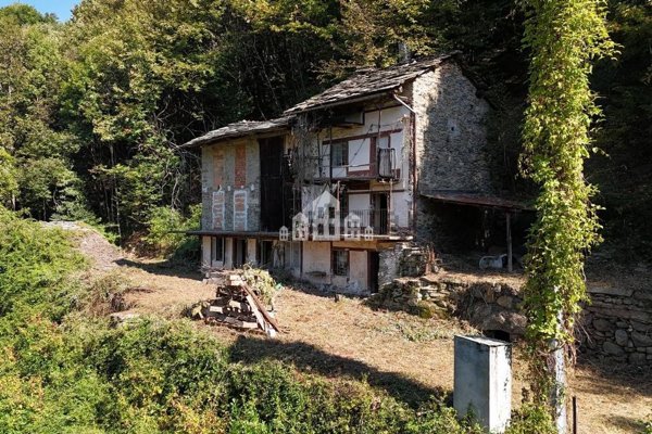 esavano in vendita a Pont Canavese