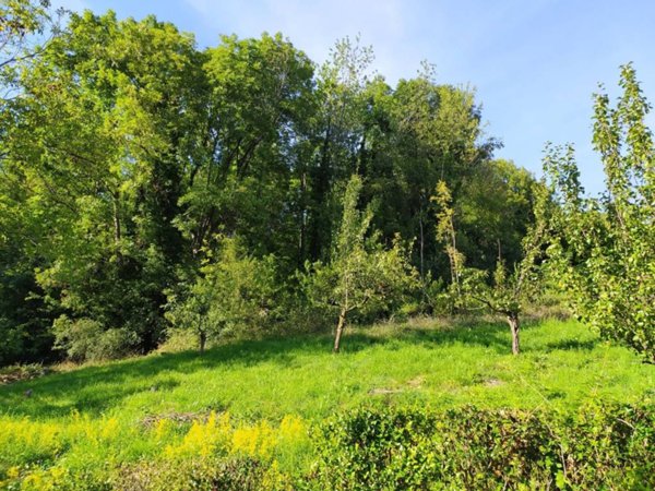 terreno agricolo in vendita a Porte