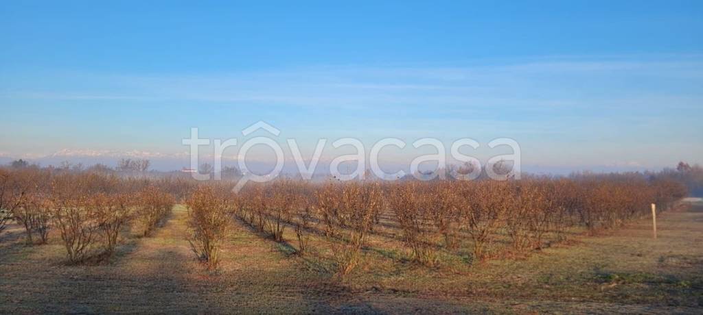 terreno agricolo in vendita a Pralormo