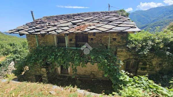 immagine annuncio 0 di 1