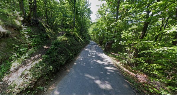 terreno agricolo in vendita a Prarostino