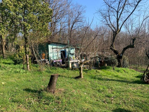 terreno agricolo in vendita a Reano