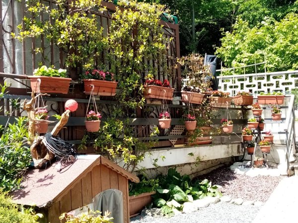 casa indipendente in vendita a Reano