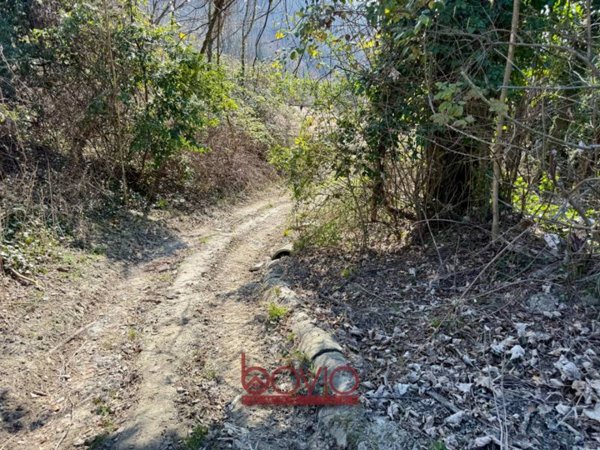 terreno agricolo in vendita a Rivalba