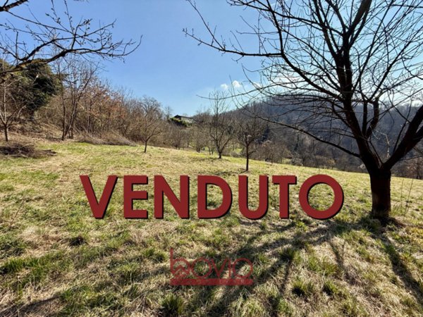 terreno agricolo in vendita a Rivalba