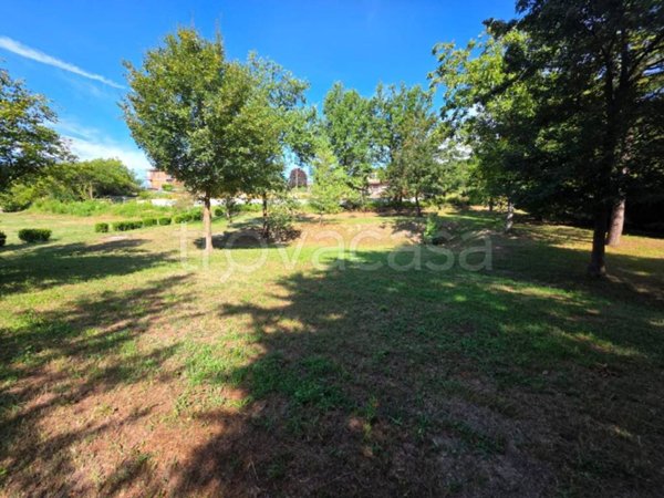 terreno agricolo in vendita a Rivalba