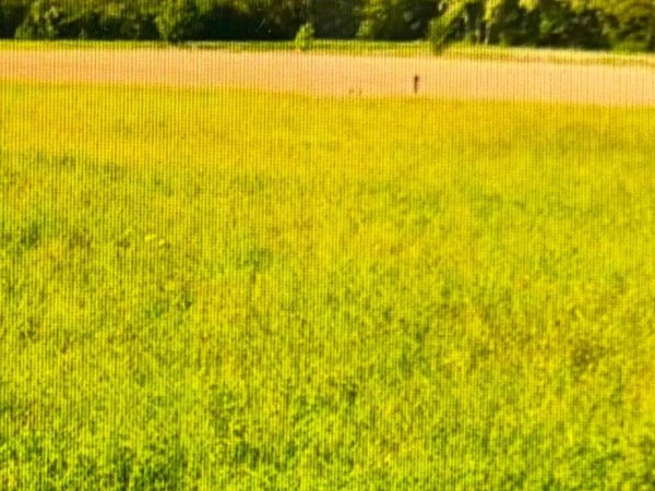 terreno in vendita a Rivalba