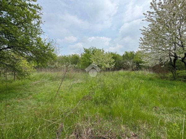 terreno agricolo in vendita a Rivalta di Torino