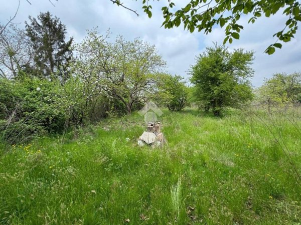 terreno agricolo in vendita a Rivalta di Torino