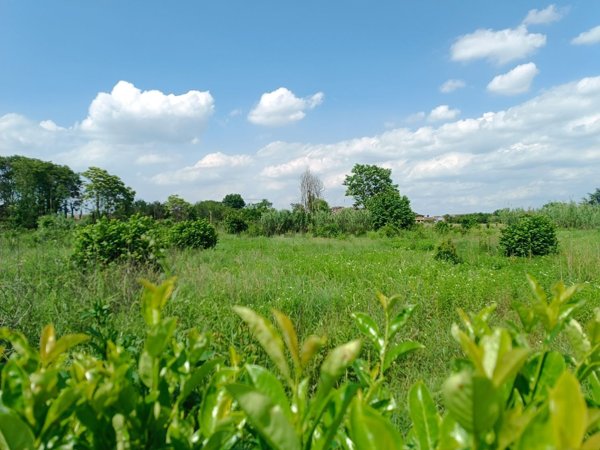 casa indipendente in vendita a Rivalta di Torino