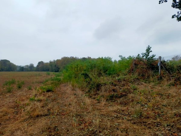 terreno agricolo in vendita a Rivalta di Torino