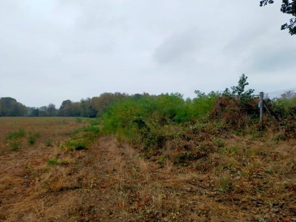 terreno agricolo in vendita a Rivalta di Torino in zona Hella