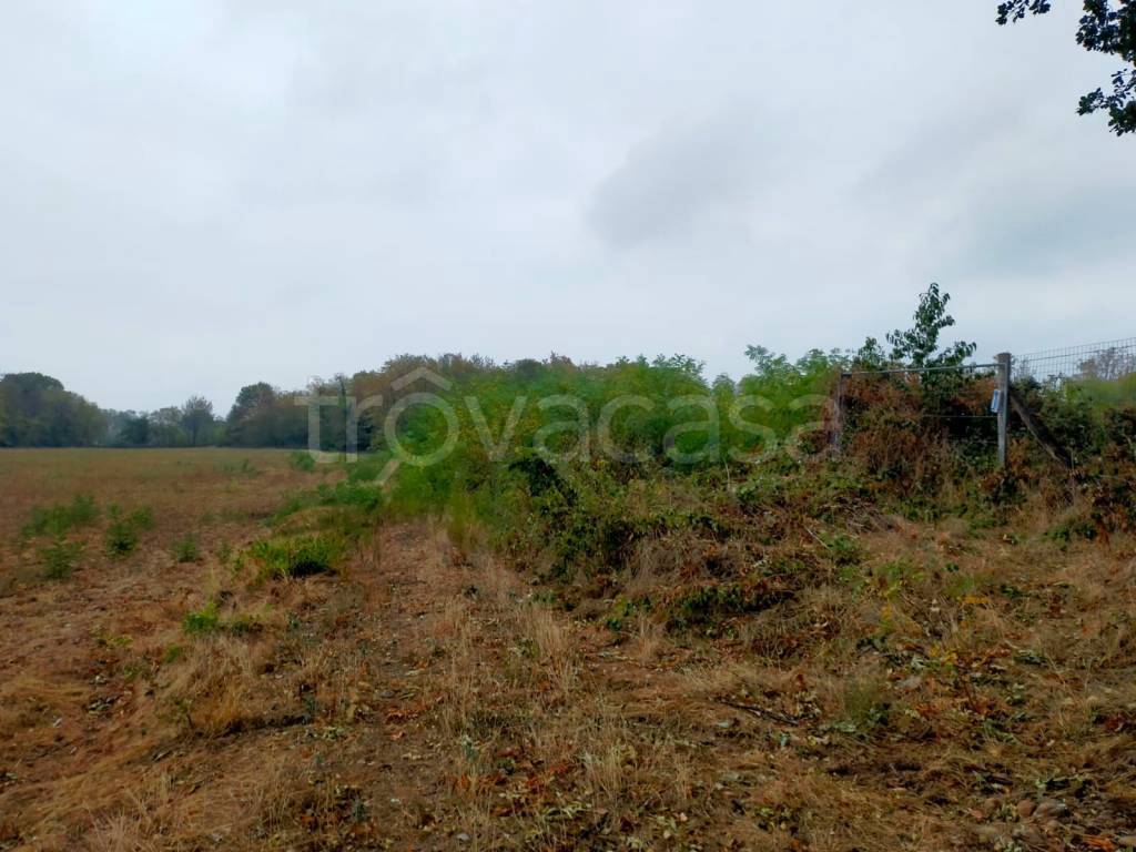 terreno agricolo in vendita a Rivalta di Torino in zona Hella
