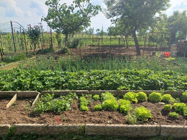 terreno agricolo in vendita a Rivalta di Torino in zona Hella