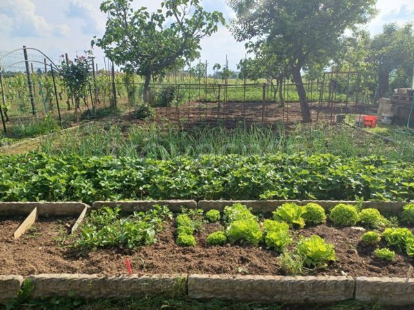 terreno agricolo in vendita a Rivalta di Torino