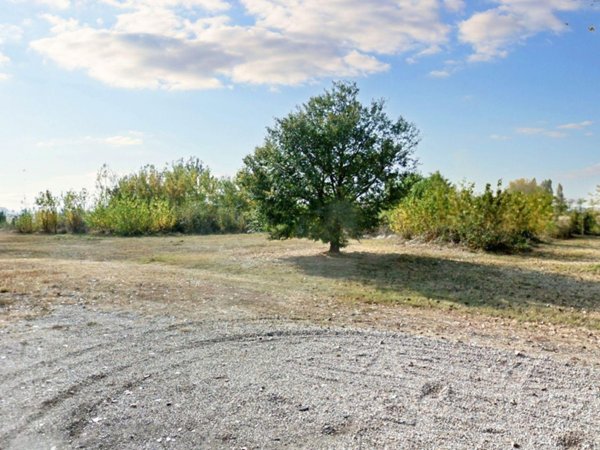 terreno agricolo in vendita a Riva presso Chieri