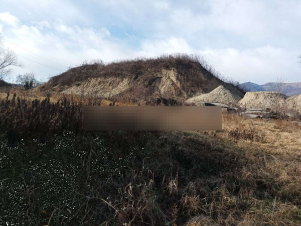 immagine annuncio 0 di 10