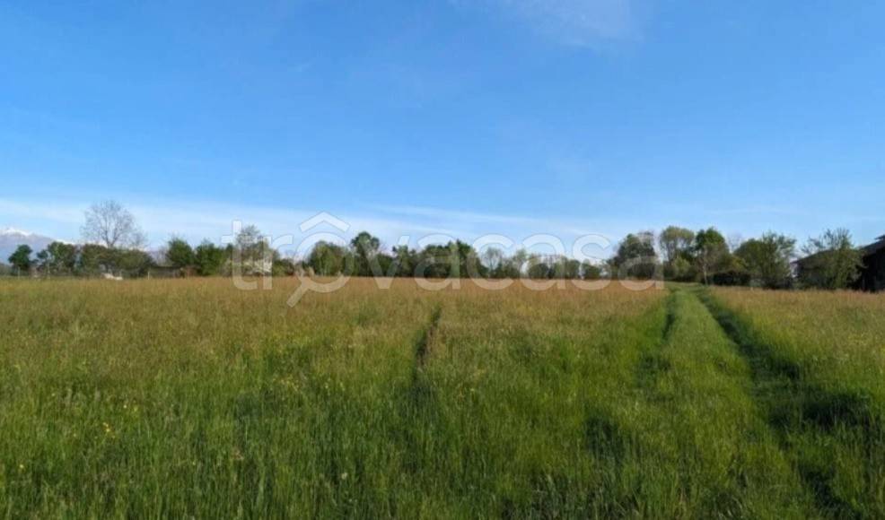 terreno agricolo in vendita a Rivarossa