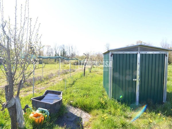 terreno agricolo in vendita a Rivarossa