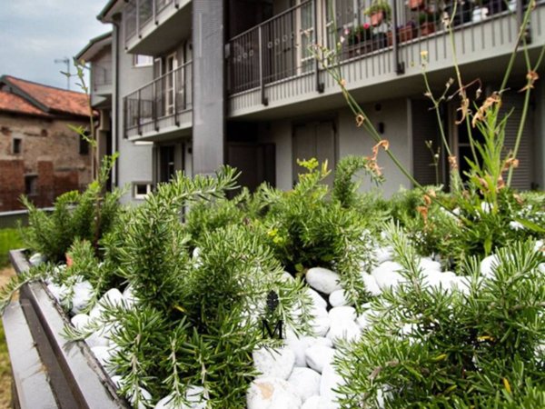 immagine annuncio 0 di 1