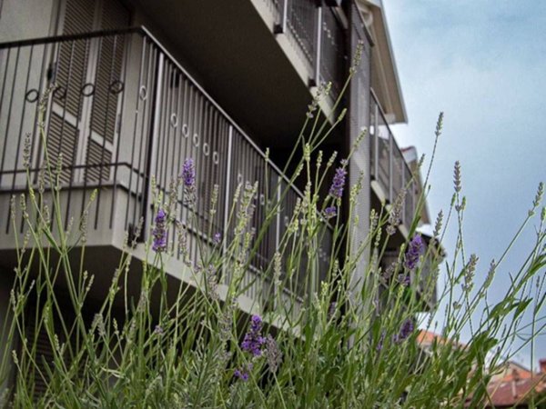 appartamento in vendita a Rivoli