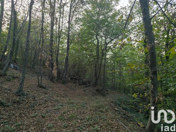 terreno agricolo in vendita a Rivoli