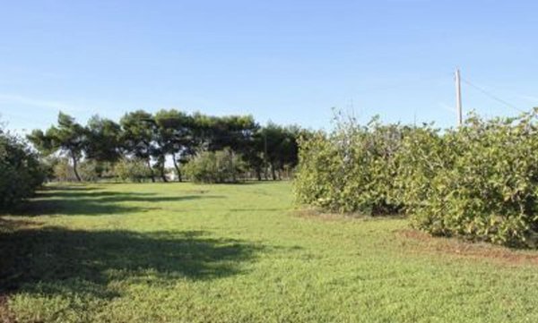 casa indipendente in vendita a Rivoli