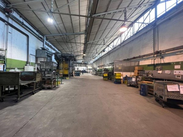 immagine annuncio 0 di 15