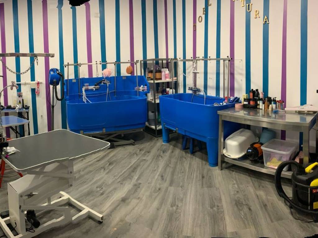 negozio in vendita a Rivoli